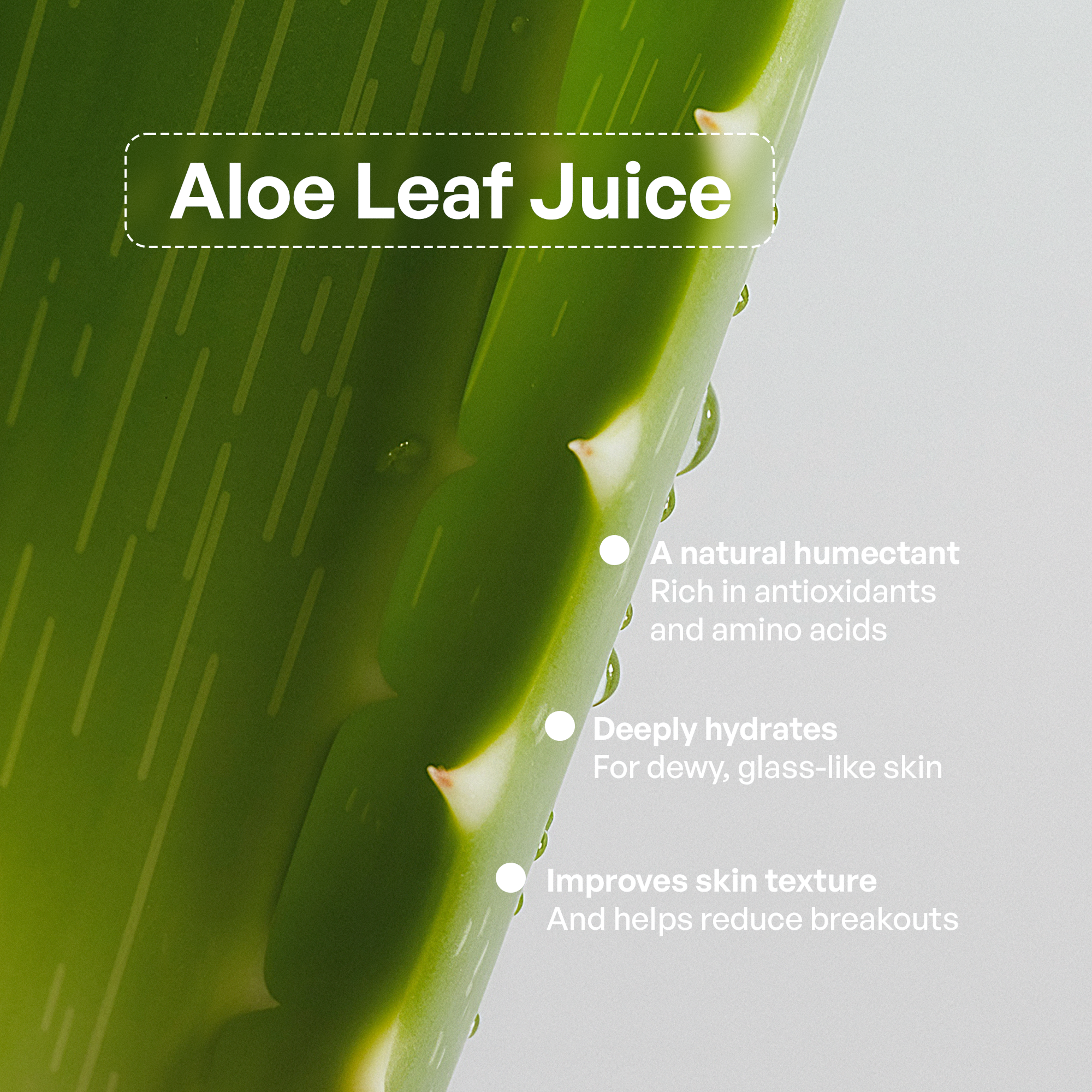 Clean & Hydrate Face Duo